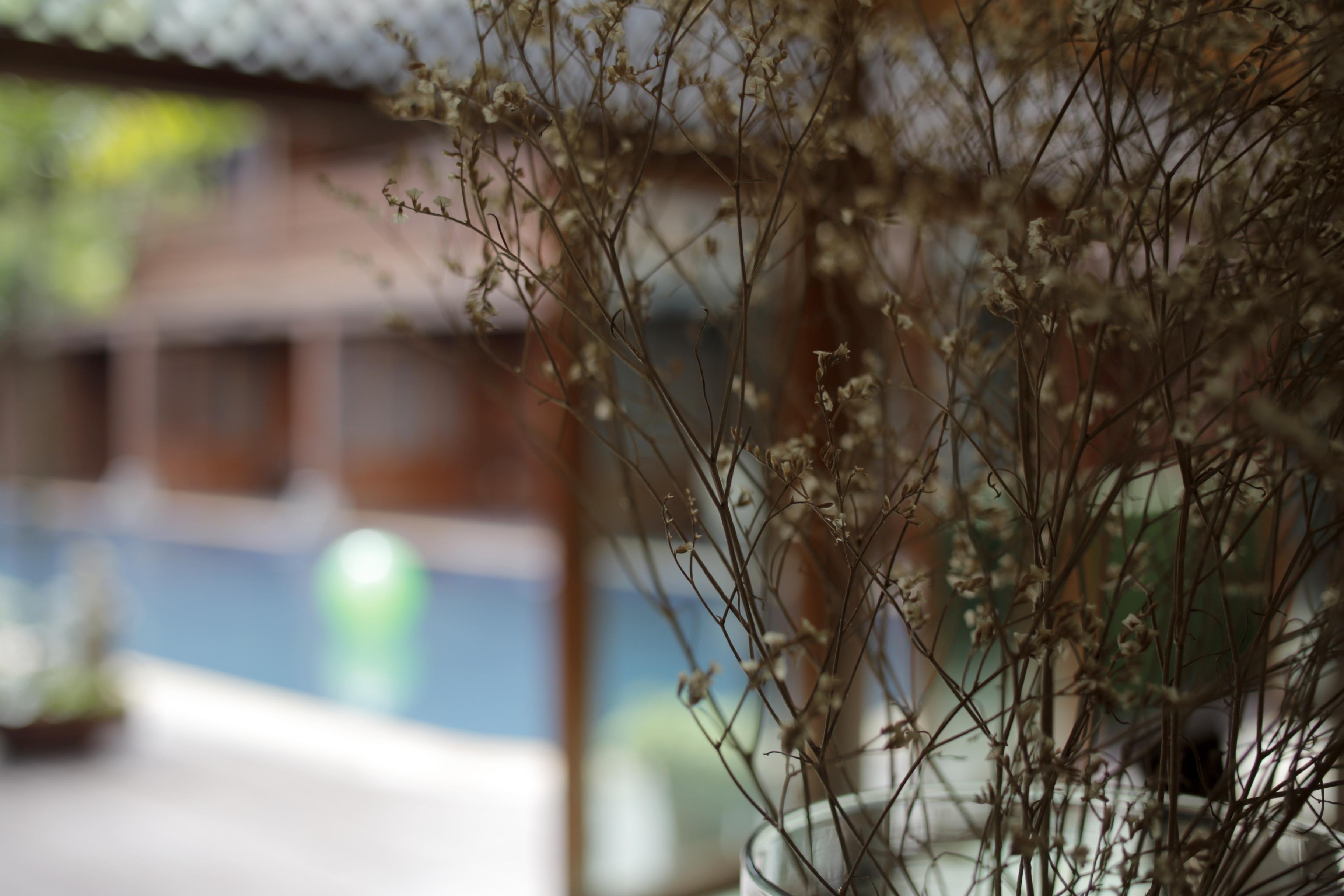 Baan U Sabai Boutique House-Sha Plus Чиангмай Екстериор снимка